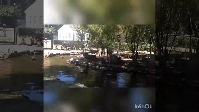 Зоопарк Аскания-Нова