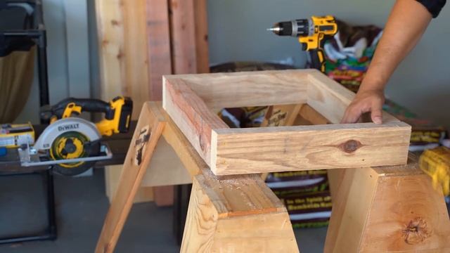How to Build a Dragon Fruit Trellis and Plant Your First Dragon Fruit Cutting смотреть онлайн