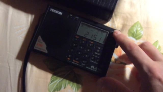 Selga-404 vs Tecsun PL-310ET смотреть онлайн