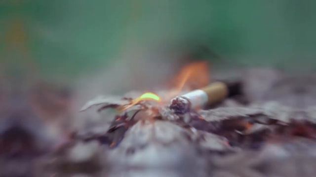 Непотушенный окурок может стать причиной природного пожара смотреть онлайн