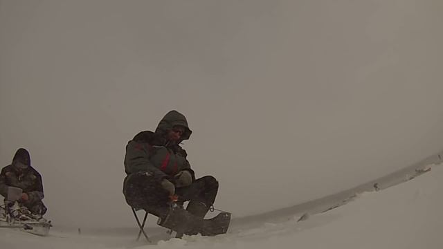 Ловля окуня в метель по первому льду на Волге смотреть онлайн