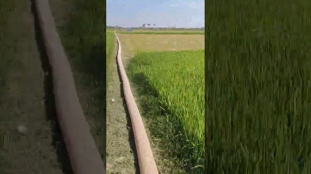 water pump pipe so long ? смотреть онлайн