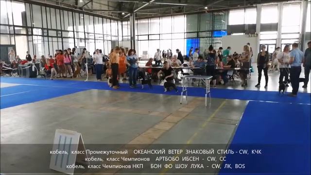 09,06,19 МОНО БОСТОН (КЧК), СПб
