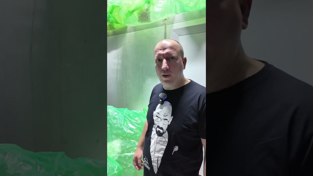 Сколько денег надо на магазин разливного пива в 2024 смотреть онлайн