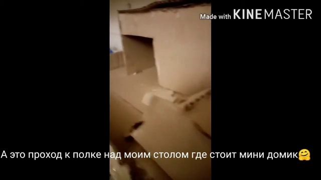 Морская свинка Вафля?