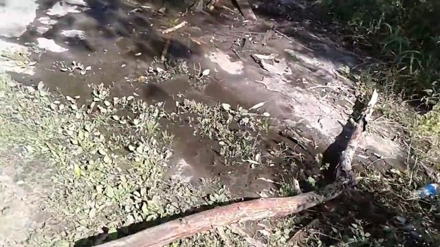 бесплатная вода!рядом ул коммунистическая45 смотреть онлайн