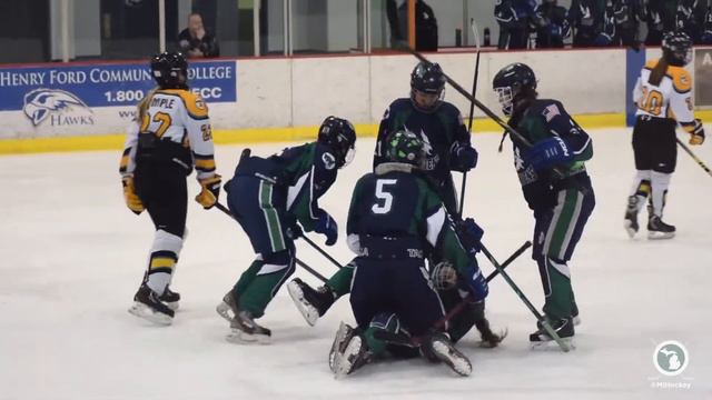 2015 Girls 14U Tier 2 state title game смотреть онлайн