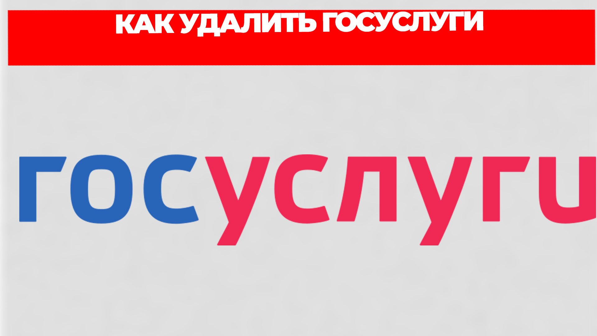 Всезнающий Енот