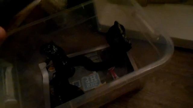 ЗМЕЯ В ХОЛОДИЛЬНИКЕ! Зимовка змей, амурский полоз смотреть онлайн
