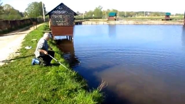 Ловля осетровых в Раменском рыбхозе "Гжелка" смотреть онлайн