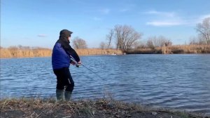 Обзор удилища BREADEN GRF TX77despoil. Часть 2: На что способен этот спиннинг??