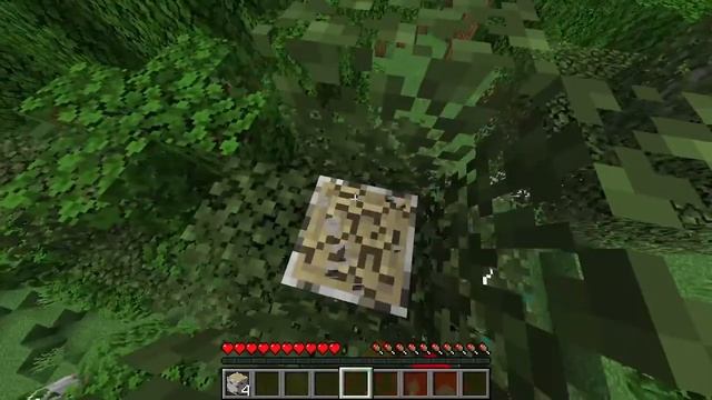 Майнкрафт играю с подписчиками смотреть онлайн