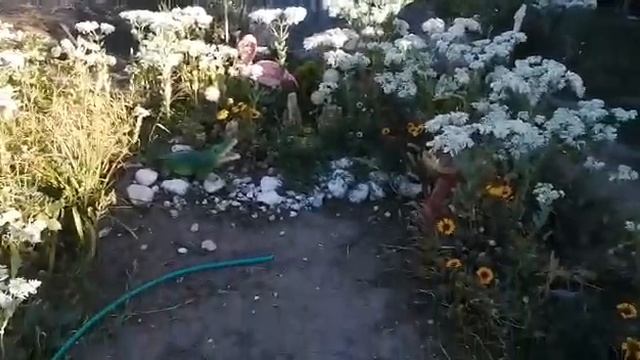 Продолжение. Переезд на юг. Смена климата. Урожаи в Ростовской области. смотреть онлайн