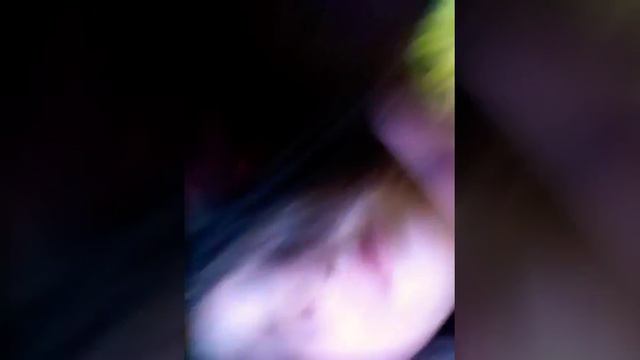 Что случилось со мной и кто приехал смотреть онлайн