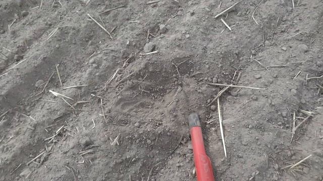 Интересные места для копа! Поиск монет с металлоискателем xp gold maxx power смотреть онлайн