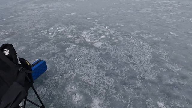 Зимняя рыбалка в Приморье. Трепанг.