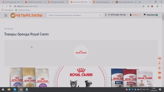 Типовые страницы сайта: как их определять | SEMANTICA смотреть онлайн
