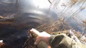 ОБОРВАЛ ВСЕ МОРМЫШКИ НО ЯЗЯ НАЛОВИЛ! РЫБАЛКА НА ВЕСЕННЕМ РУЧЬЕ! ЯЗЬ НА ПОПЛАВОК ПО БОЛЬШОЙ ВОДЕ!