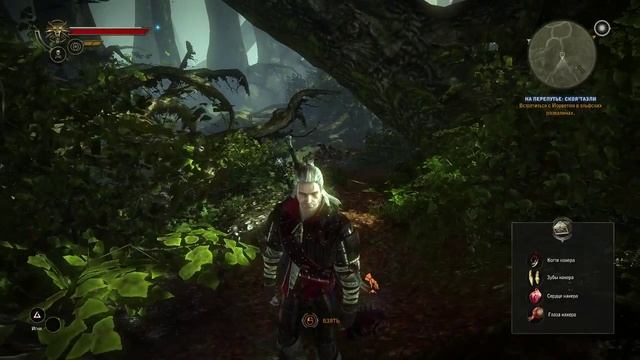 The Witcher 2 Где же Трисс? смотреть онлайн