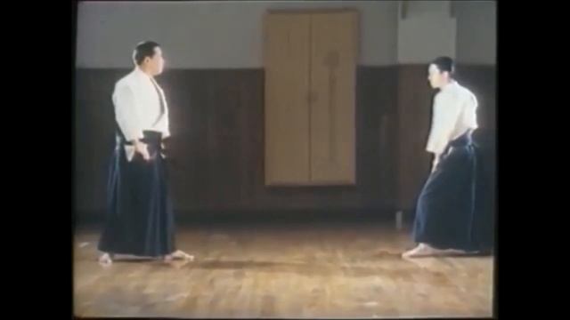 Hontai Yoshin Ryū : The true origins of Aikido?!?! смотреть онлайн
