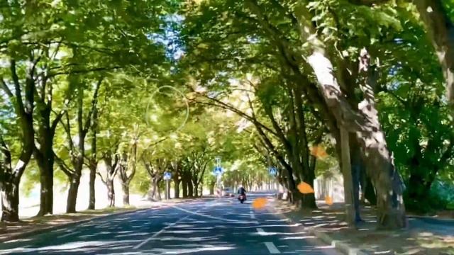??ОСЕНЬ ПЛАЧЕТ?? - Олег Голубев смотреть онлайн