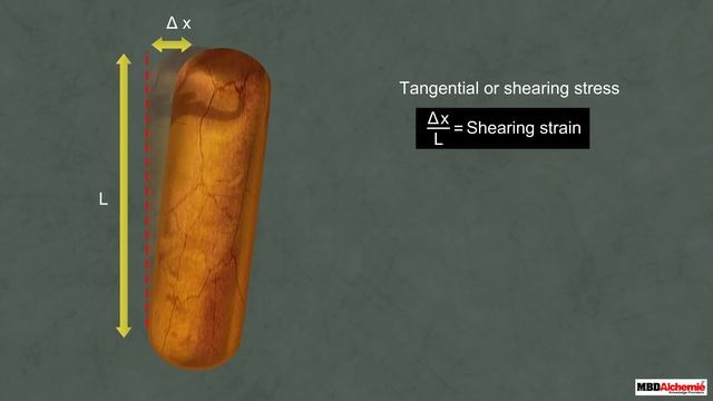 Stress, Strain and Hooke's Law | Mechanical Properties of Solids | Physics | Class 11 смотреть онлайн