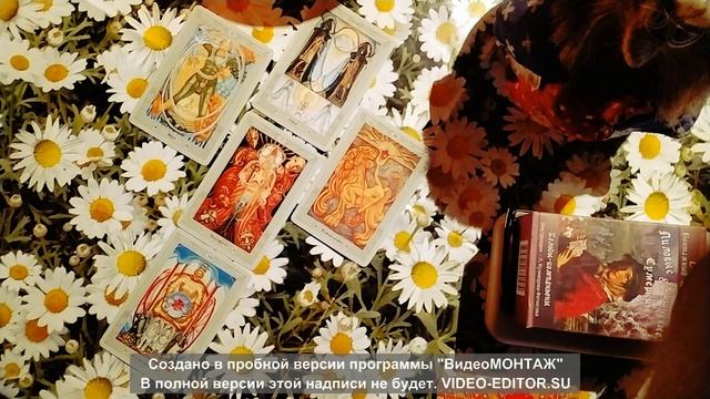 Дерево влюбленных на ТАРО смотреть онлайн