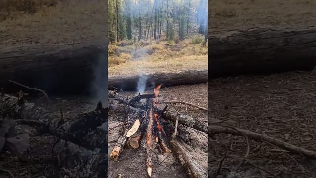 Палатку очень легко профукать #снаряжение #поход #алтай смотреть онлайн