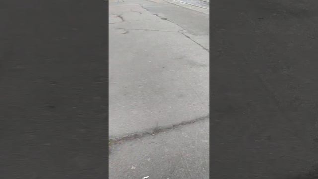 трамвай  татра юг  борт 325