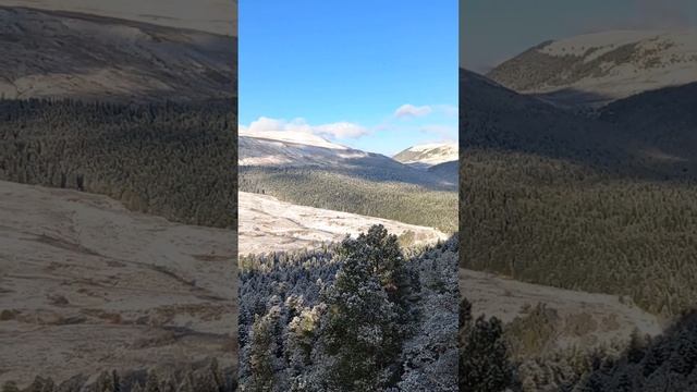 Адыгея, отдых с бассейном с детьми! #адыгея#отдыхвадыгее#отеливкаменномостском#лагонаки#горы#отдых смотреть онлайн