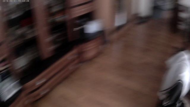 20190401_164413A смотреть онлайн