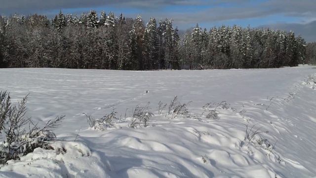 Zaķa cīņa ar sniegu смотреть онлайн