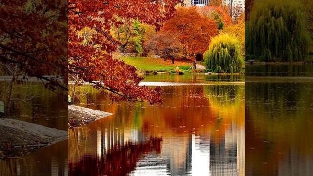 Наталья Лаврова - Осенний ветер