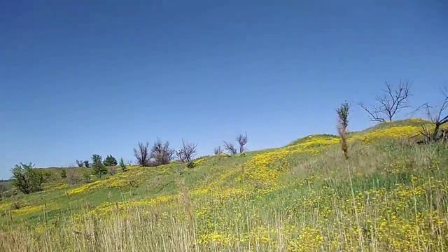 Отдыхаем за рулем! Нива рулит!!!)) смотреть онлайн