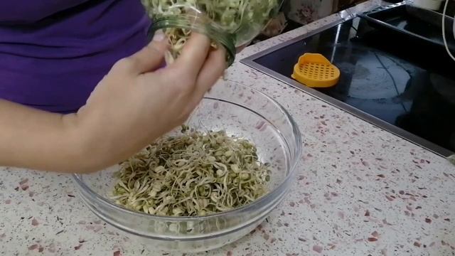 КАК ВЫРАСТИТЬ ВИТАМИНЫ ЗИМОЙ смотреть онлайн