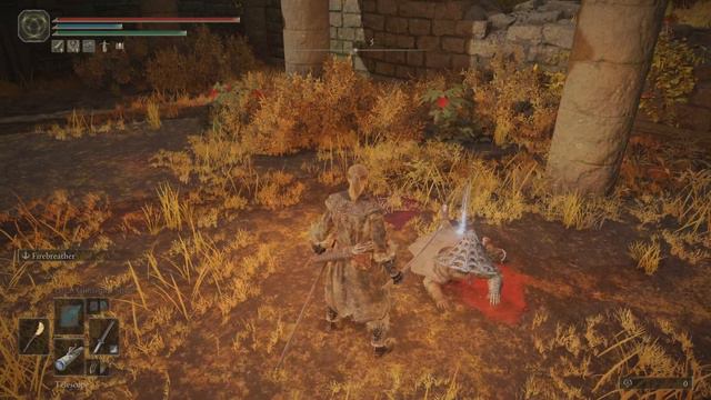 ELDEN RING Altus NPC Yura Second Church of Marika Nagakiba Purifying Crystal Tear Elenors Poleblade смотреть онлайн