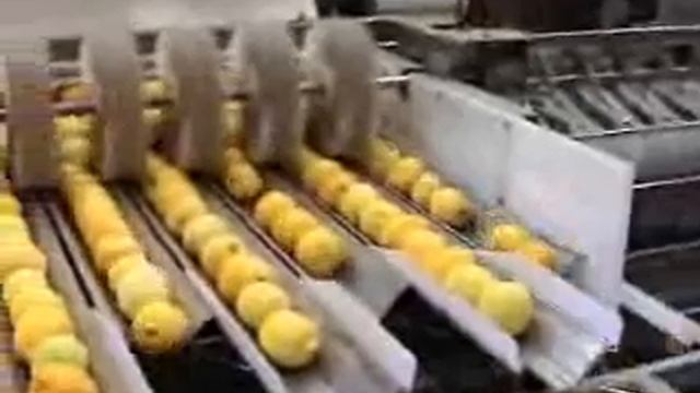 Фасовка фруктов и овощей в сетку Автоматическая линия смотреть онлайн