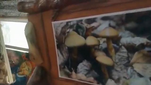 Дом музыканта Николая Ксенофонтова смотреть онлайн