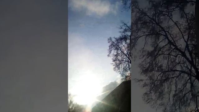 показываю свой двор в Рязани смотреть онлайн
