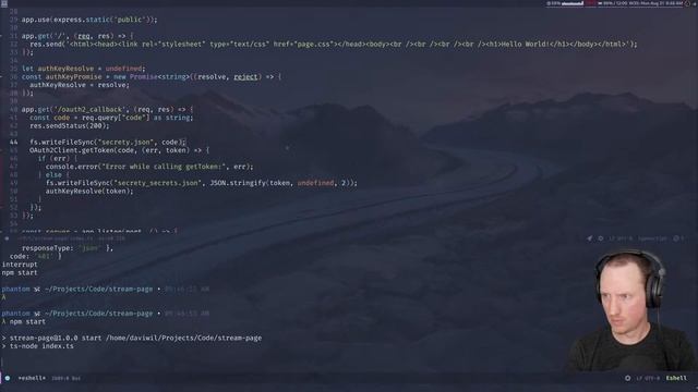 Stream Hacking: Custom OBS Overlay Server смотреть онлайн