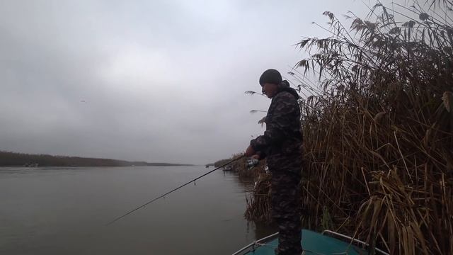 Поймут только настоящие мужики какой это кайф смотреть онлайн