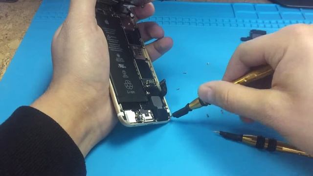 Замена Полифонического Динамика iPhone 6