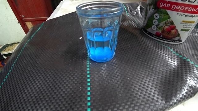 Весенняя побелка деревьев смотреть онлайн