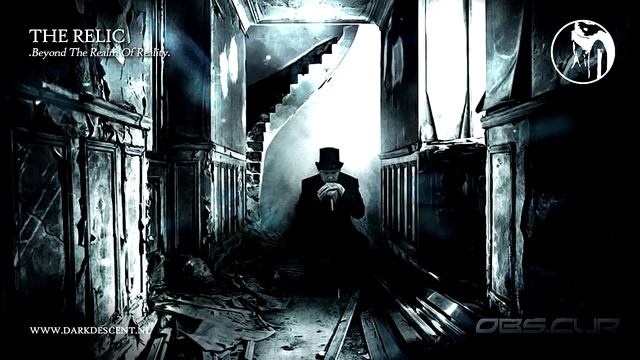 The Relic - Beyond The Realm Of Reality (Preview) смотреть онлайн