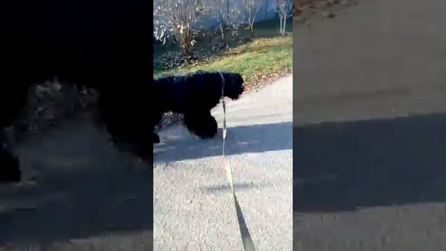 Потап 8 лет смотреть онлайн