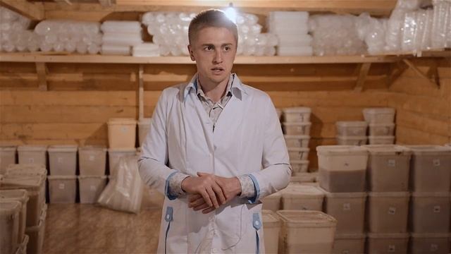 Условия хранения меда смотреть онлайн