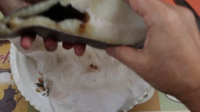 Веганские Ресторанчики и Кафе