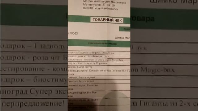"Подарок" от фирмы Беккер. "Блэк Баккара" роза - не знала, что черный - это жёлтый!!! смотреть онлайн
