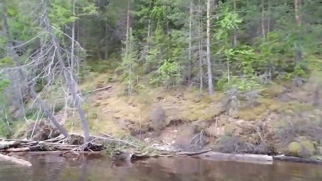 1.6.19...отличная рыбалуа смотреть онлайн