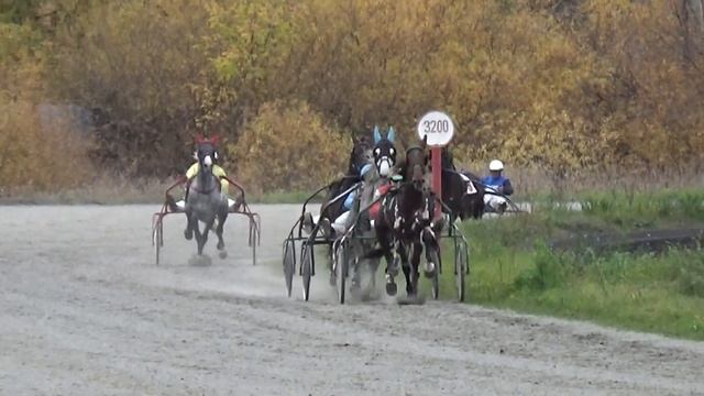 07. 10. 2023 Заезд №03 ПРИЗ «ИППИКА» смотреть онлайн